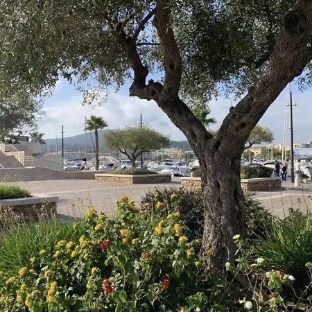 Appartamento Sainte-maxime: 2 Pièces, 5 Couchages, Vue Mer, Clim, Centre-ville - Fr-1-226-515 *